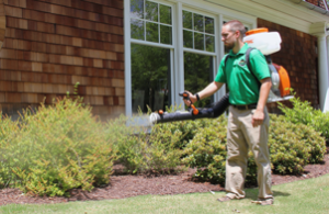 mosquito joe technician